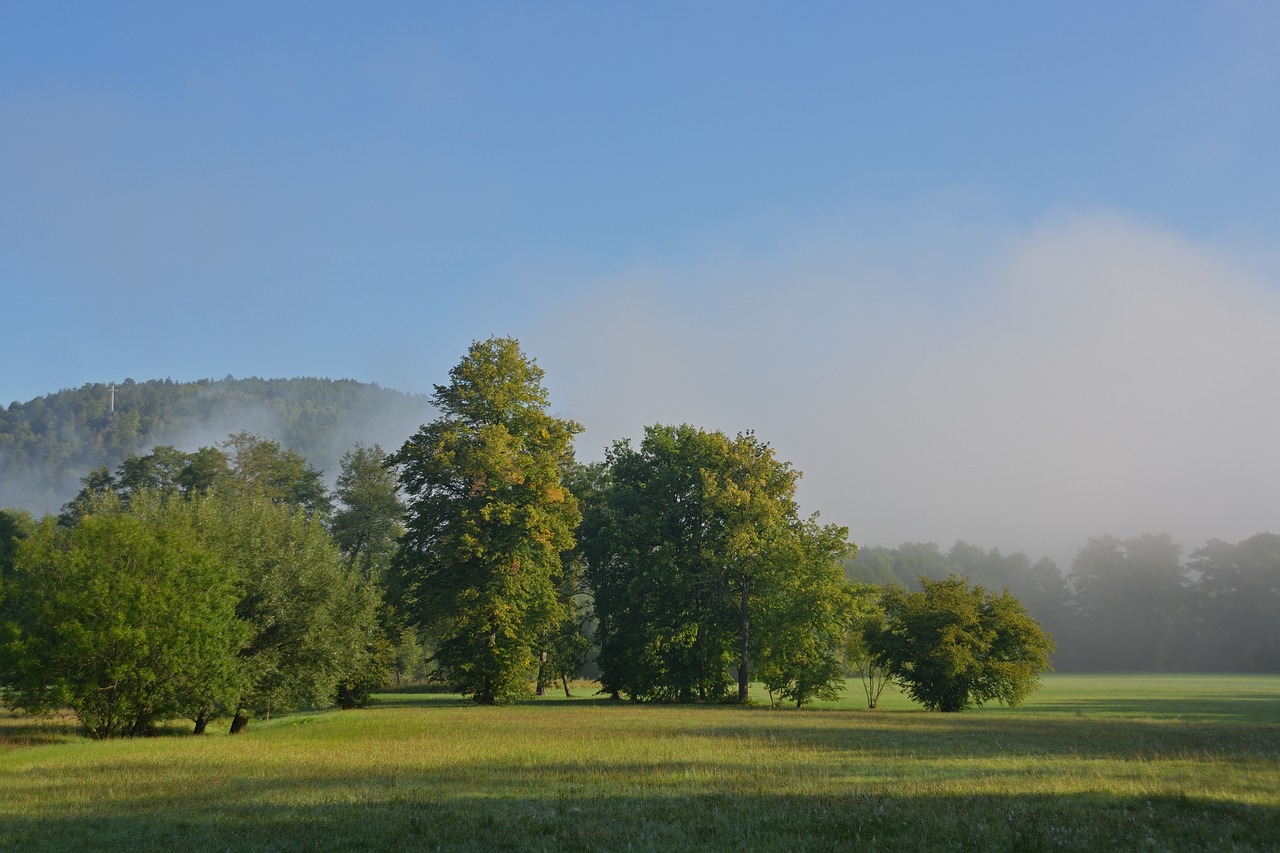 Seasonal Events in Parks