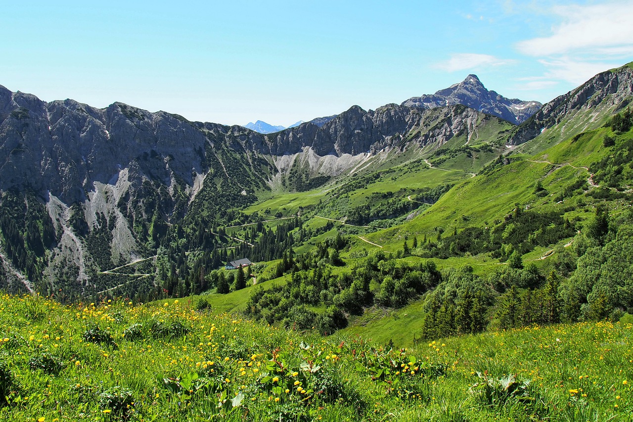 Scenic Views Along the Trails
