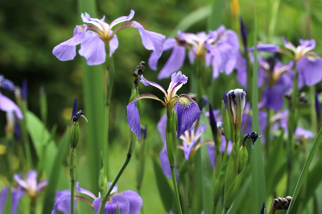 Enjoying the Waterfront Views