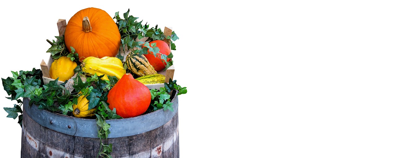 Engaging with Cultural Performances