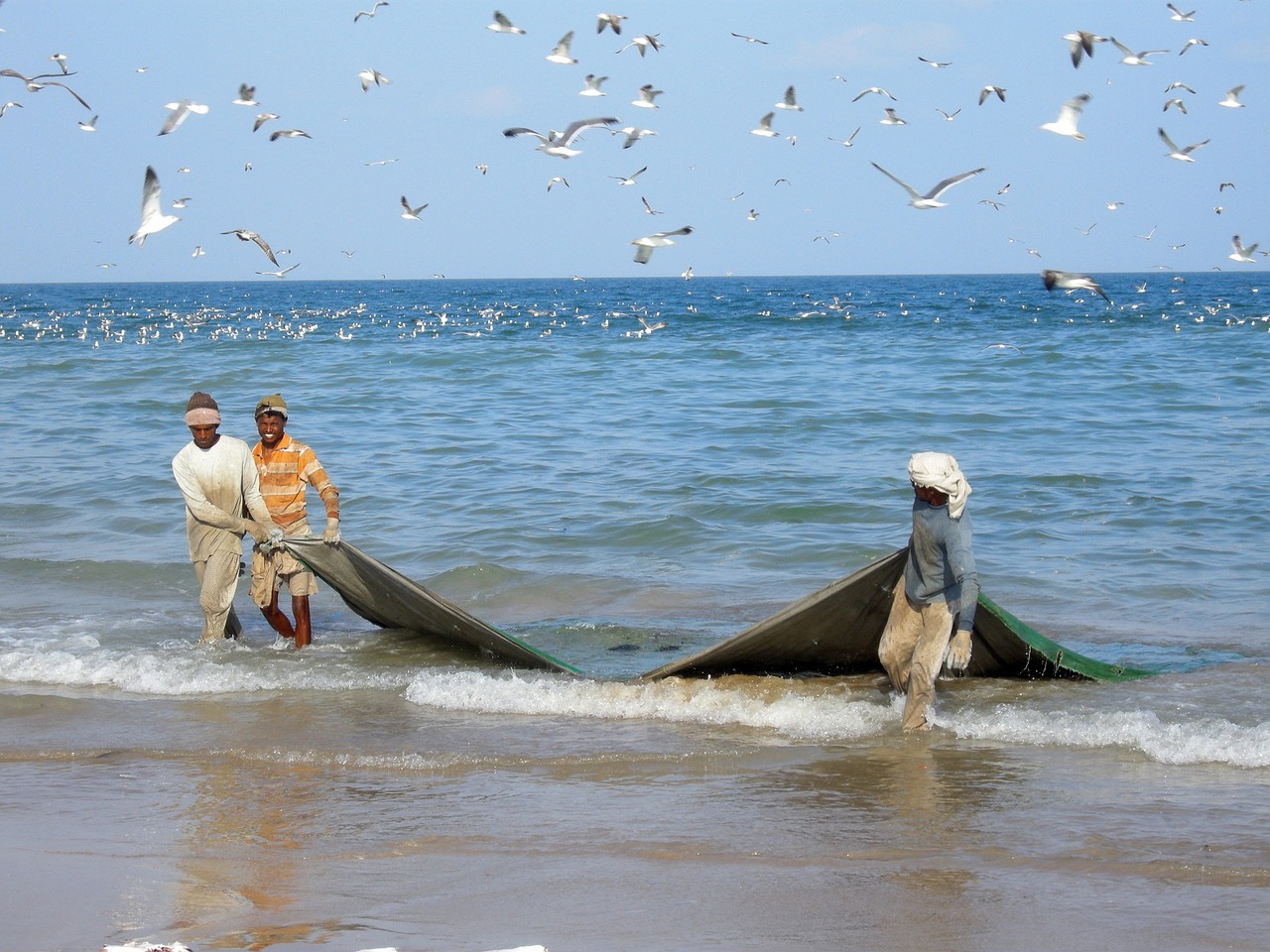 The Fishermen