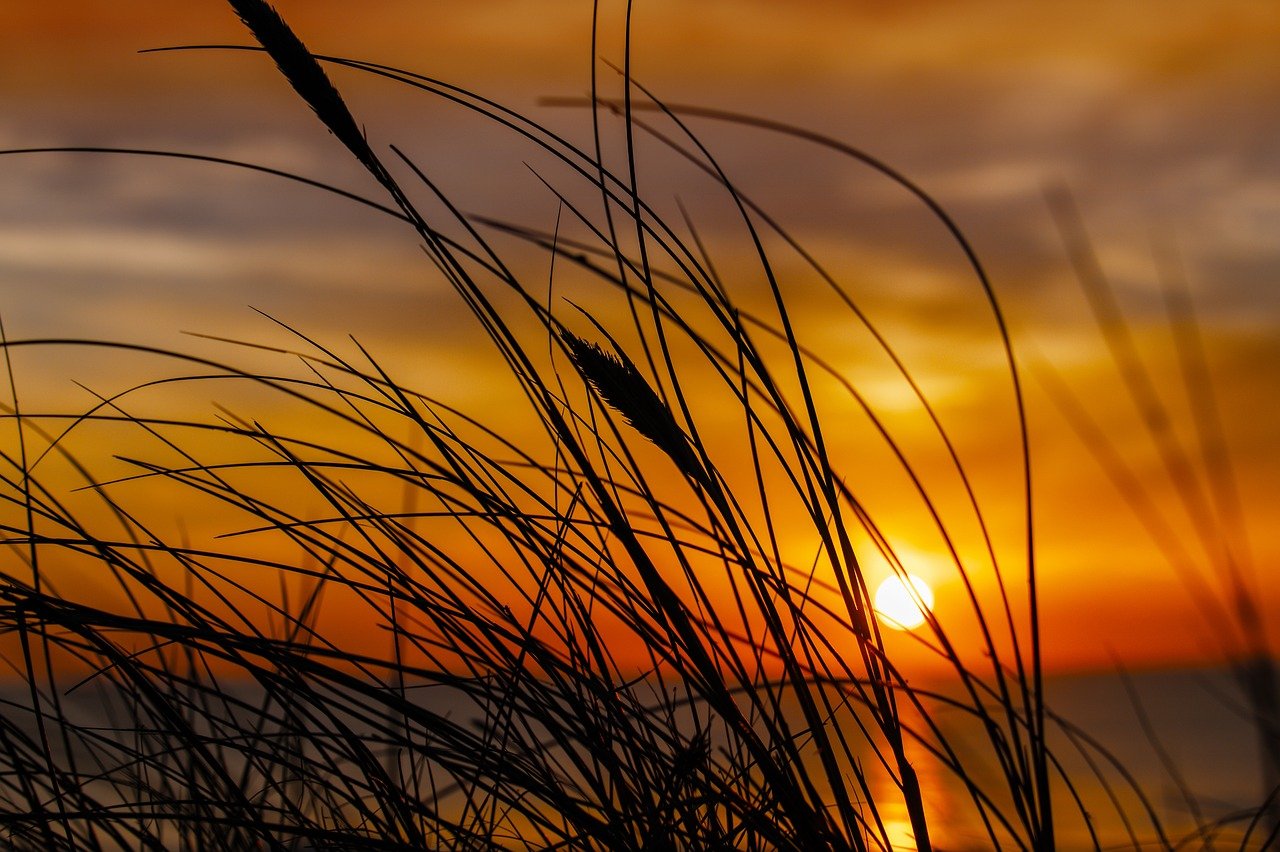 Sunset Views and Nightlife